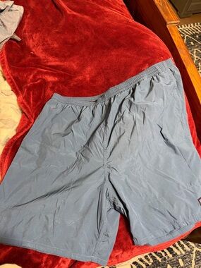Patagonia Blue Outdoor Shorts Linerless